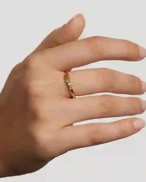 Ring/AN01-C10-18