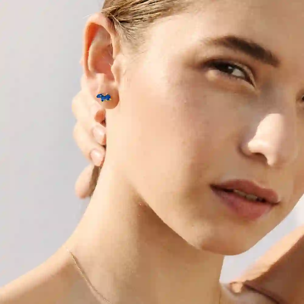 Earring/GB133ZA.00