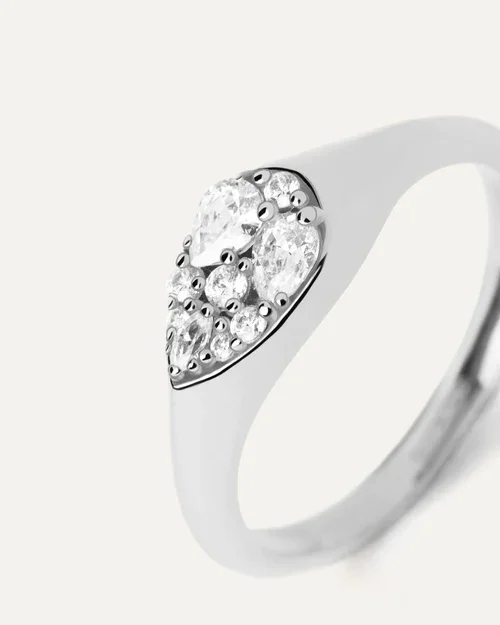 Ring/AN02-A51-10