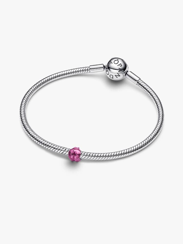 Charm / 794905C01