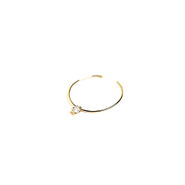 Single Earring / 2626610