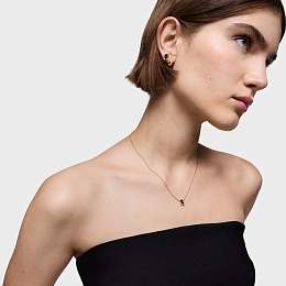 Necklace & Pendant / 1004225700