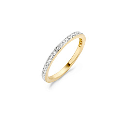 Ring/1119BZI/50