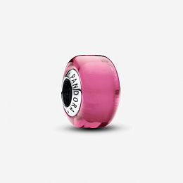 PANDORA Sterling Silver Charm/793107C00