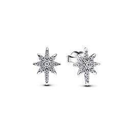 Pandora Moments Earring / 293587C01