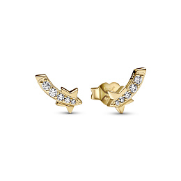 Earring/262375C01