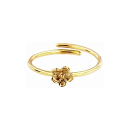 Ring / ANE0028PD