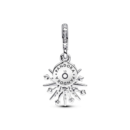 Pandora Moments Charm / 793512C01