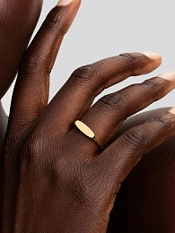 PANDORA Moments Ring / 163986C00-54