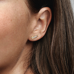 Earring/262375C01