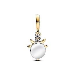 Pandora Moments Charm / 763588C01