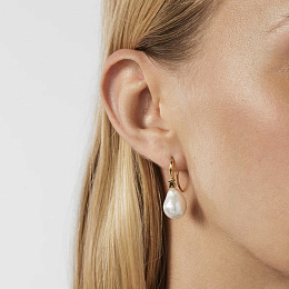 Earring / 111233560