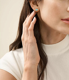 Skagen Stainless Steel Earring / SKJ1805710