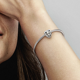 Charm/792565C01