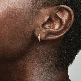 Earring/263015C01