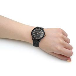 Quartz Wristwatch/AX5587