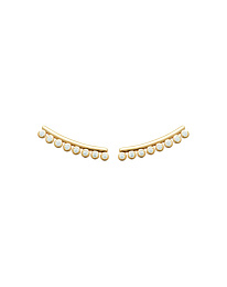 Earring / 23044010