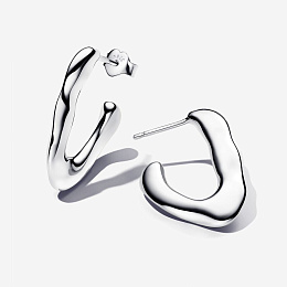 PANDORA Sterling Silver Earring / 293290C00