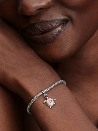 Pandora Moments Charm / 764432C01