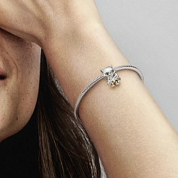 Charm/792563C01