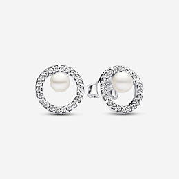 Earring/293154C01