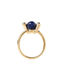 Ring / AN01-D21-16