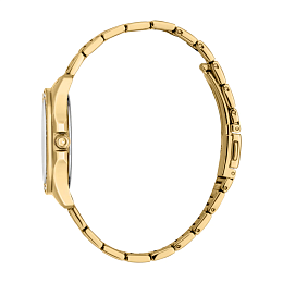 JUST CAVALLI Women Watch, Gold Color Case, Silver Dial, Gold Color Metal Bracelet, 3 Hands, 5 ATM