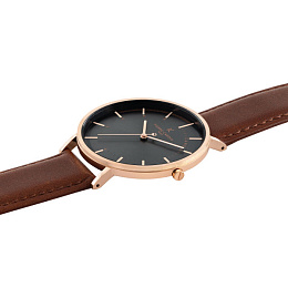 PIC 2.0 FW22 CG11C,BROWN LEATHER BAND