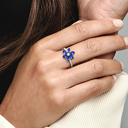 Ring/193000C01-60