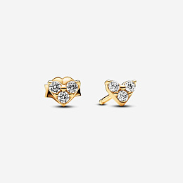 Earring/263003C01