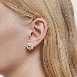 Earring/311853500