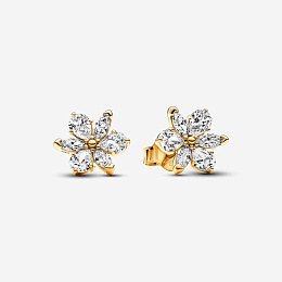 Earring/262633C01
