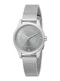 Quartz Wristwatch / ES1L484M2045