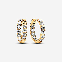 Earring/263002C01
