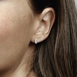 Earring/290036C01