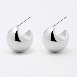 Zag Bijoux Surgical Stainless Steel Earring / SEL22080-00UNI
