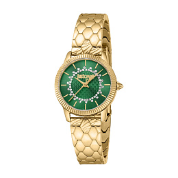 JUST CAVALLI Women Watch, Gold Color Case, Dark Green Dial, Gold Color Metal Bracelet, 3 Hands, 5 AT