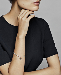 PANDORA Moments Charm / 798854C02
