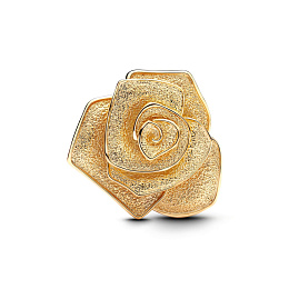 Pandora Moments Charm / 763675C00