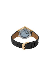 Celestial Automatic 38mm Gold-tone Case Black Dial Black Croco Pattern Leather Strap /TW2T86300UL