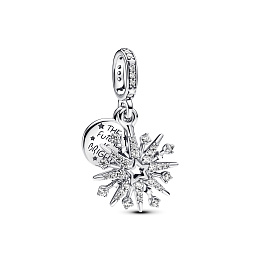 Pandora Moments Charm / 793512C01