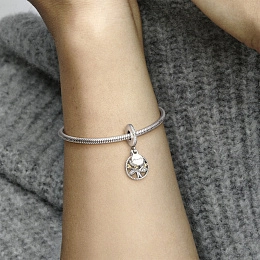 PANDORA Moments Charm / 791728CZ