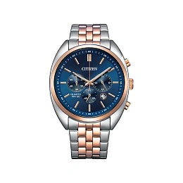 Citizen Quartz Wristwatch Men/AN8216-50L