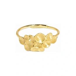 Ring / ANE358