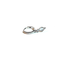 Earring/1658610