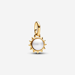 Charm/763035C01