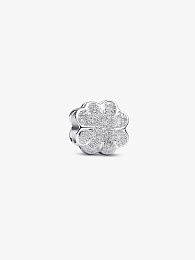 Pandora Moments Charm / 794047C00