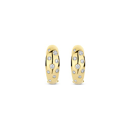 Earring / 78006ZY