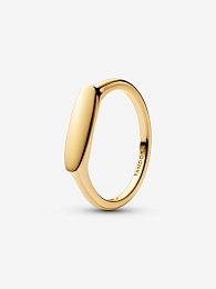 PANDORA Moments Ring / 163986C00-54