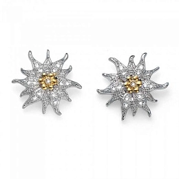 Earring/22708